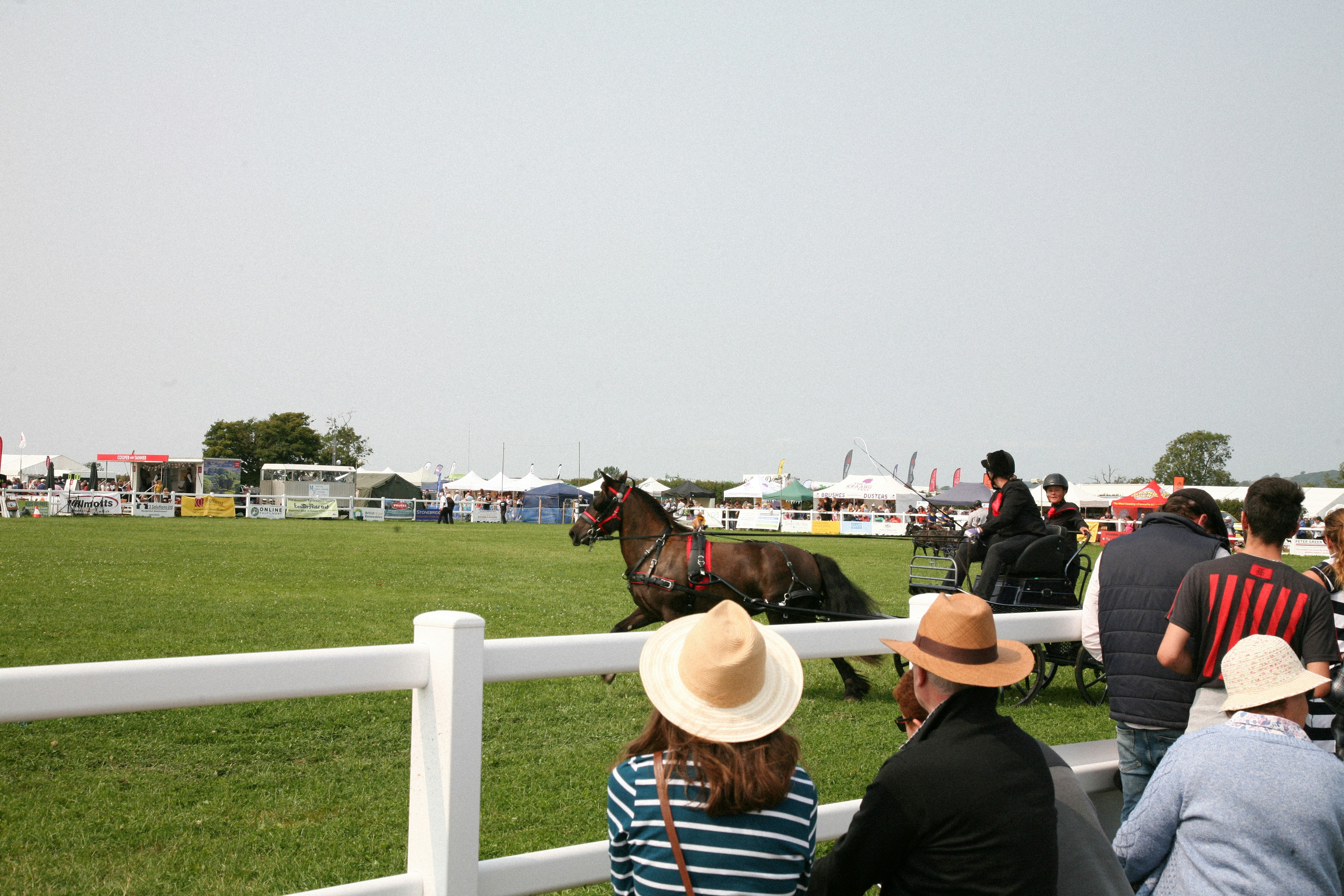Racegoers celebrating a win